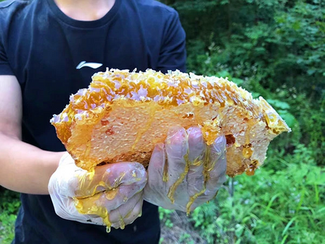 heather honey manufacturers - CGhealthfood.png